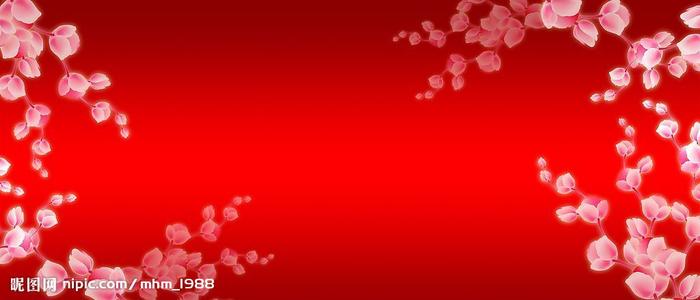 北中央州立学院 Science and technology diploma